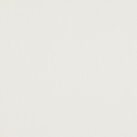 JF Fabrics PAPARAZZI 91 Fabric Traditional,Transitional,Contemporary,Plain Creme,Beige  Double Width,Linen Texture - 5848891 J7301