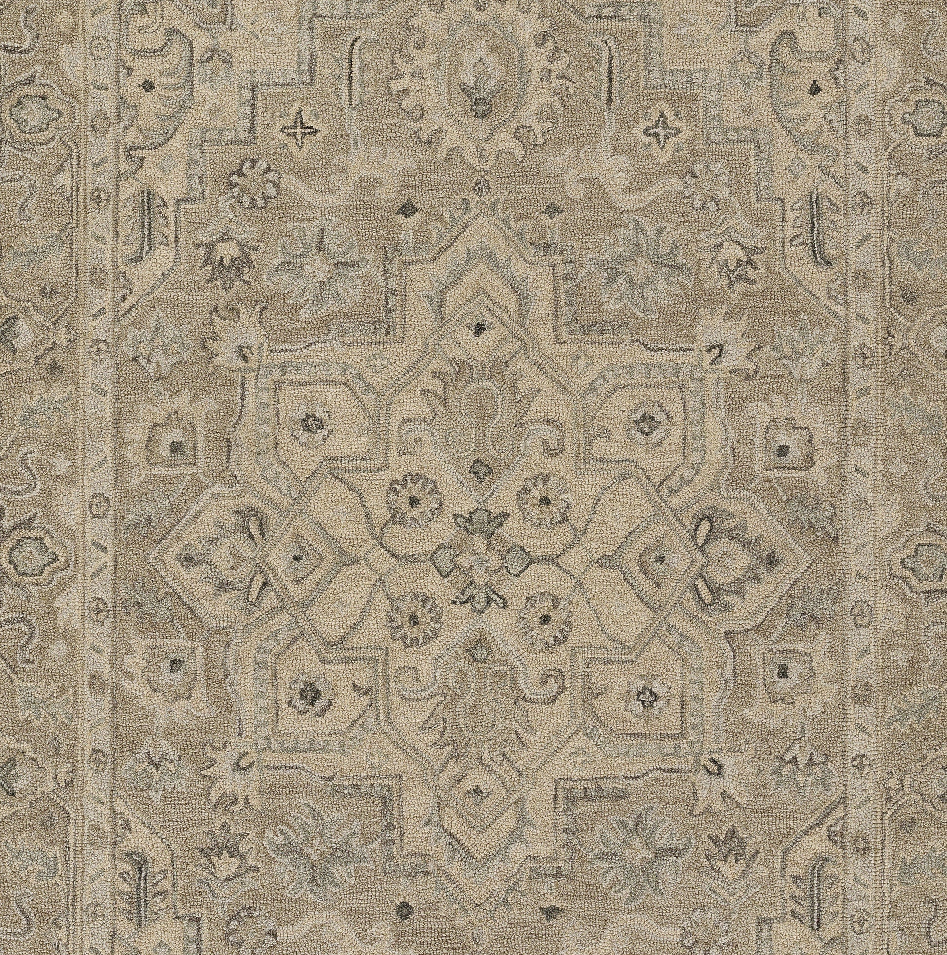 Taupe-toned Persian-style area rug with an ornate central medallion & floral border; classic oriental decor.