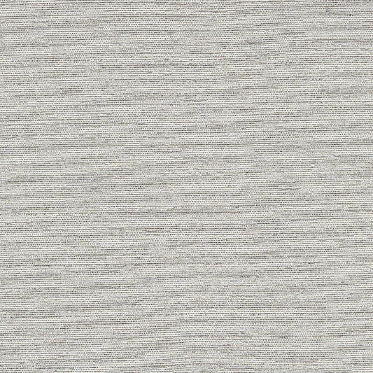 JF Fabrics crypton-home PENELOPE 93 Fabric Traditional,Transitional,Contemporary,Metallic,Plain Grey/Silver  Jacquard,Texture - 7828493 J8381