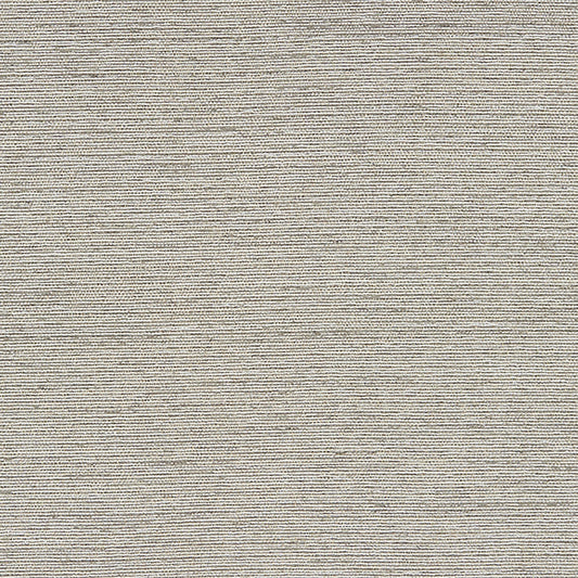 JF Fabrics crypton-home PENELOPE 94 Fabric Traditional,Transitional,Contemporary,Metallic,Plain Grey/Silver  Jacquard,Texture - 7828494 J8381