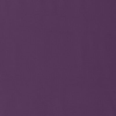 BAKER LIFESTYLE VELVET TEXTURE PURPLE,,   - PF50411.582.0