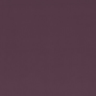 BAKER LIFESTYLE VELVET TEXTURE PURPLE,,   - PF50411.588.0