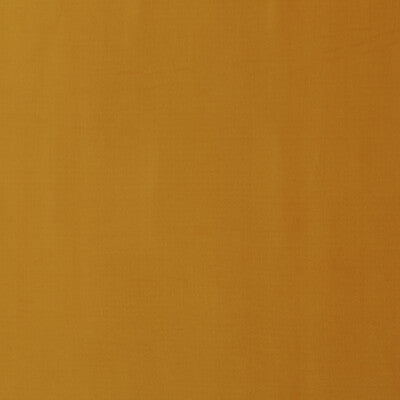 BAKER LIFESTYLE VELVET TEXTURE YELLOW,,   - PF50411.816.0