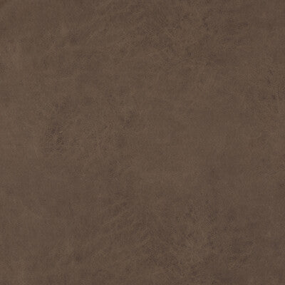 BAKER LIFESTYLE  TEXTURE BROWN,,   - PF50412.284.0