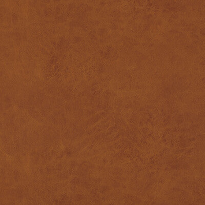 BAKER LIFESTYLE  TEXTURE ORANGE,,   - PF50412.315.0