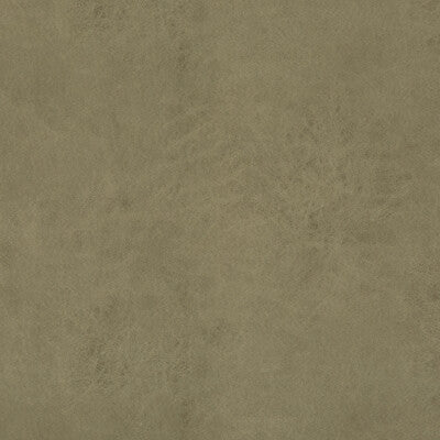 BAKER LIFESTYLE  TEXTURE GREEN,,   - PF50412.790.0