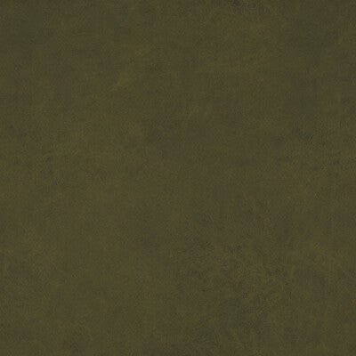 BAKER LIFESTYLE  TEXTURE GREEN,,   - PF50412.794.0