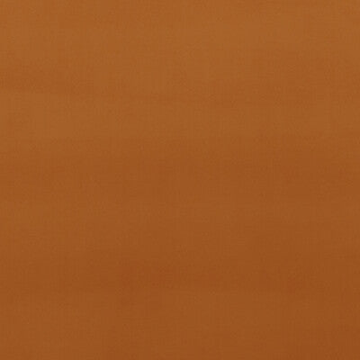 BAKER LIFESTYLE VELVET  ORANGE,,   - PF50417.330.0