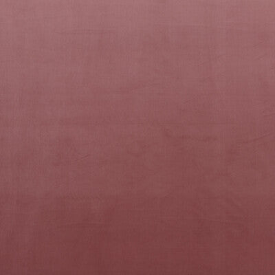 BAKER LIFESTYLE VELVET  PINK,,   - PF50417.400.0