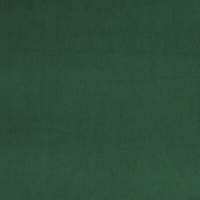 BAKER LIFESTYLE VELVET  GREEN,,   - PF50417.791.0