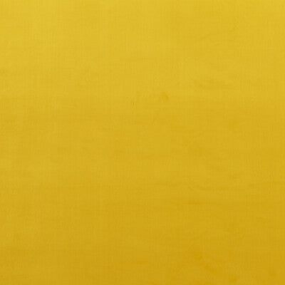 BAKER LIFESTYLE VELVET  YELLOW,,   - PF50417.840.0