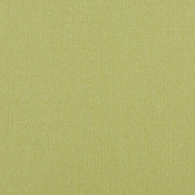 BAKER LIFESTYLE  TEXTURE GREEN,,   - PF50420.755.0