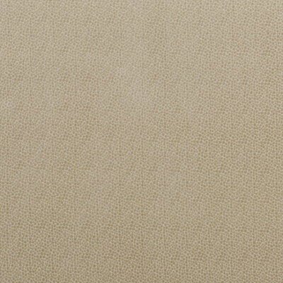 BAKER LIFESTYLE VELVET  BEIGE,,   - PF50423.225.0