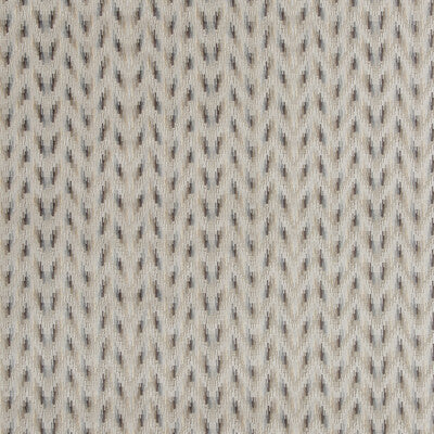 BAKER LIFESTYLE VELVET  GREY,BEIGE,   - PF50426.3.0