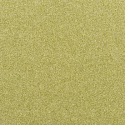 BAKER LIFESTYLE  TEXTURE GREEN,,   - PF50440.760.0