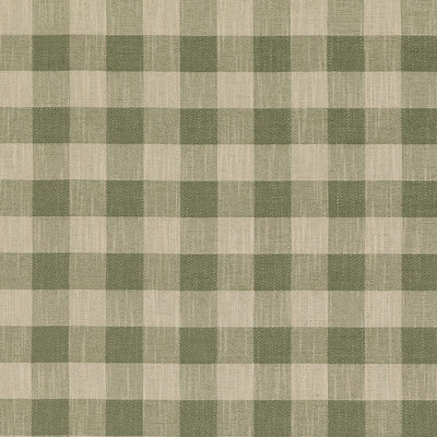 BAKER LIFESTYLE WEAVE PLAID / CHECK GREEN,BEIGE,   - PF50490.735.0