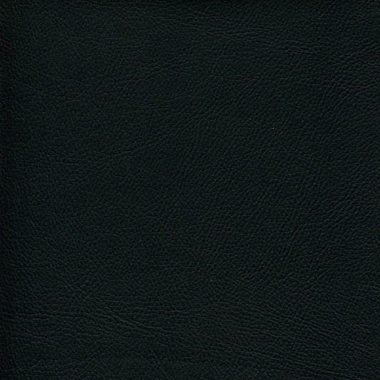 NICHOLASJOHN INC NJ-PHANY Black Non Perf    Fabric - NJ25-2613