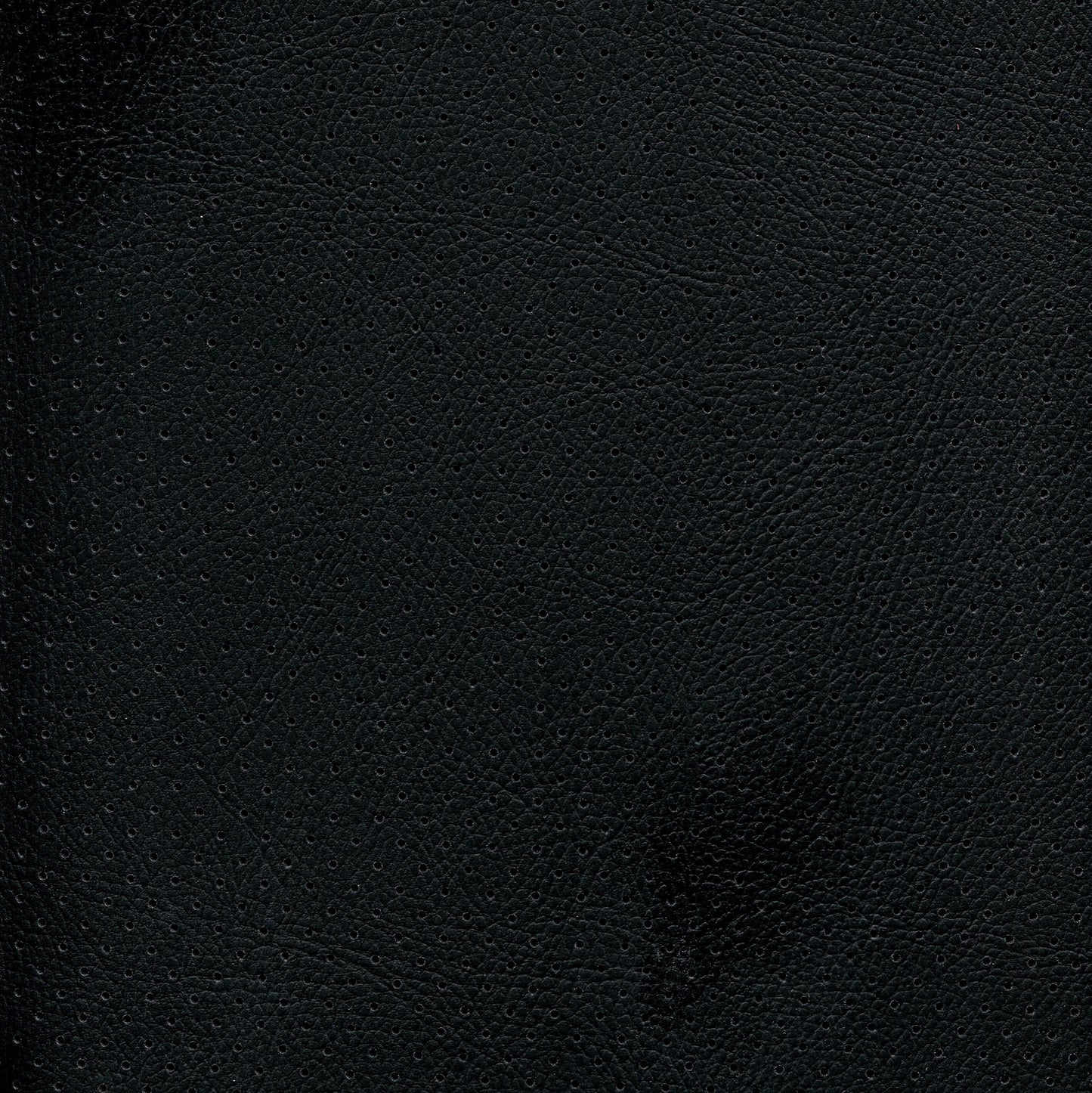NICHOLASJOHN INC NJ-PHANY Black/Black Perf    Fabric - NJ25-2614