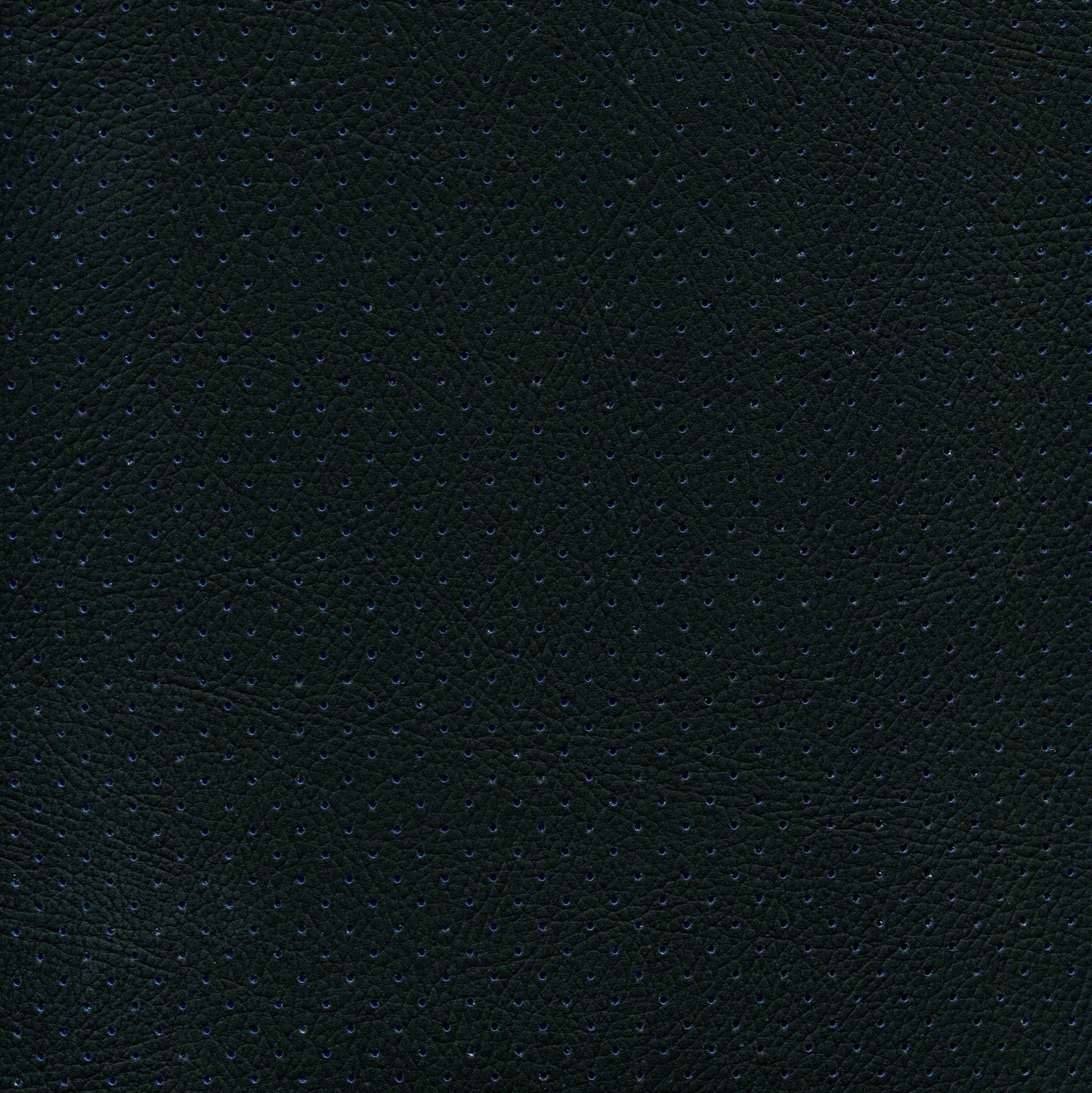 NICHOLASJOHN INC NJ-PHANY Black/Blue Perf    Fabric - NJ25-2616