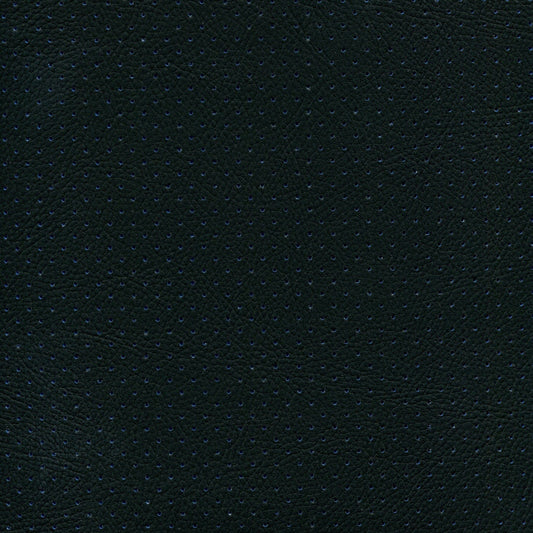 NICHOLASJOHN INC NJ-PHANY Black/Blue Perf    Fabric - NJ25-2616