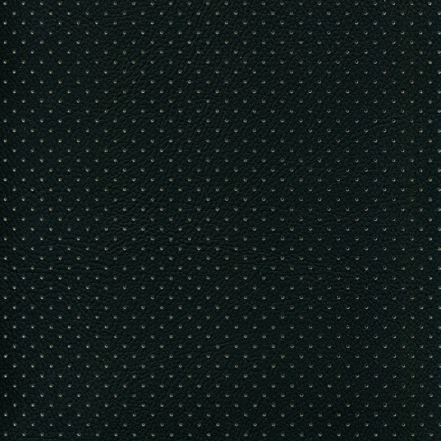 NICHOLASJOHN INC NJ-PHANY Black/White Perf    Fabric - NJ25-2617