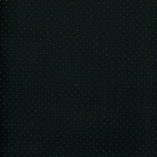 NICHOLASJOHN INC NJ-PHANY Black/Turf Perf    Fabric - NJ25-2619