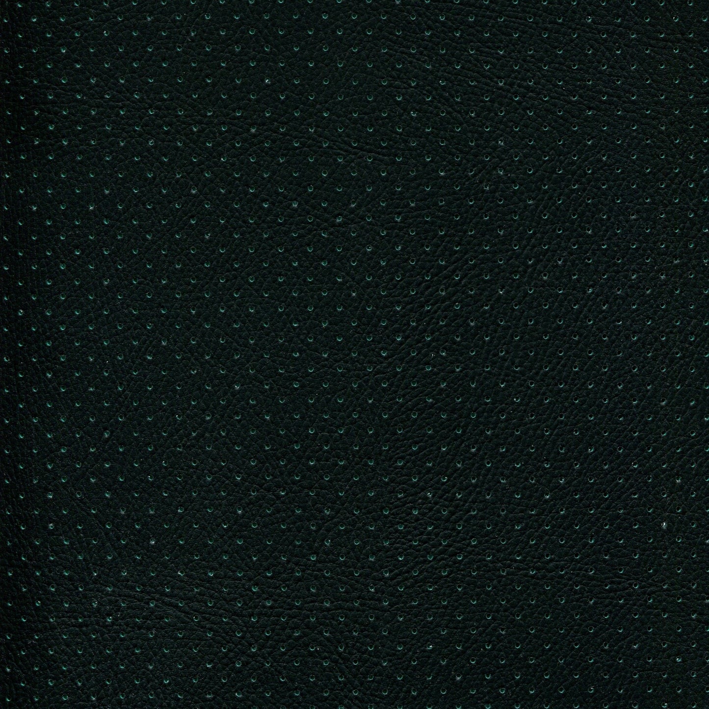 NICHOLASJOHN INC NJ-PHANY Black/Green Perf    Fabric - NJ25-2621