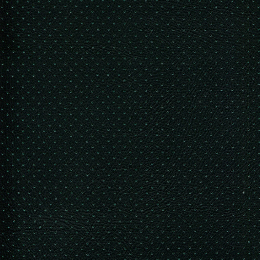 NICHOLASJOHN INC NJ-PHANY Black/Green Perf    Fabric - NJ25-2621