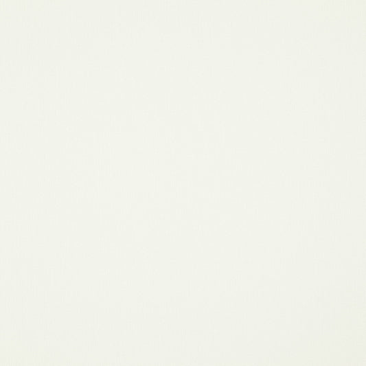 JF Fabrics PRAGUE 91 Fabric Traditional,Transitional,Contemporary,Plain Offwhite  Linen,Texture,Linen Texture - 5907791 J7511