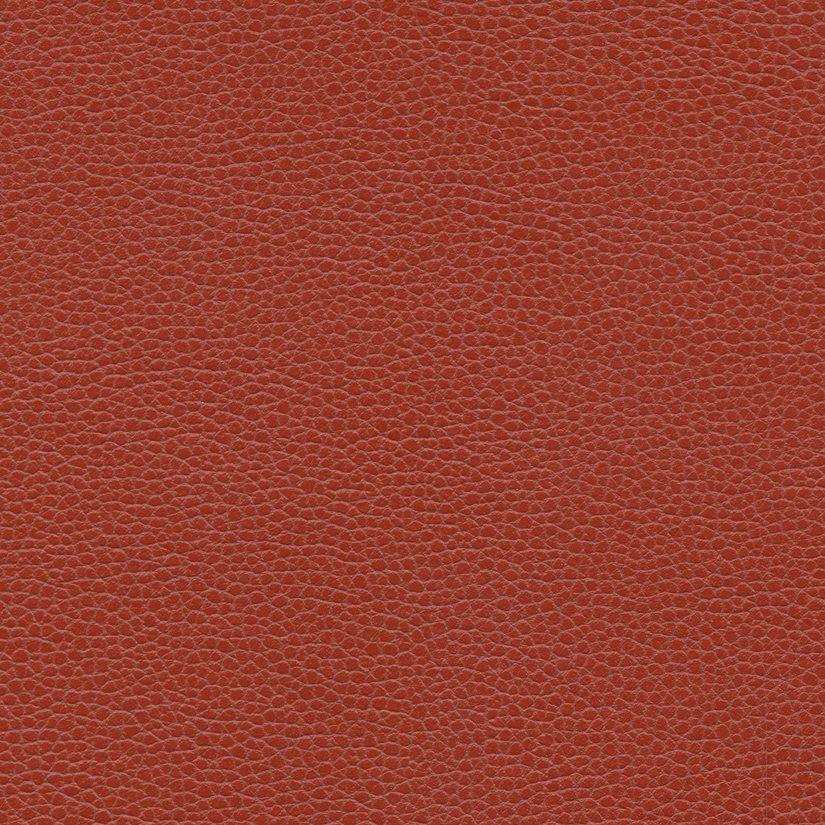 NICHOLASJOHN INC NJ-PROVE Red Solid,Texture   Fabric - NJ25-2715