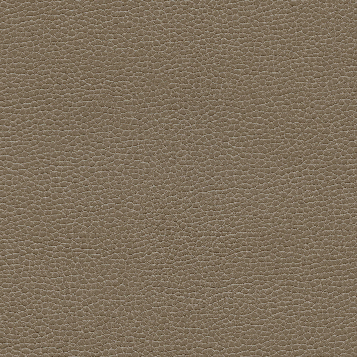 NICHOLASJOHN INC NJ-PROVE Taupe Solid,Texture   Fabric - NJ25-2717