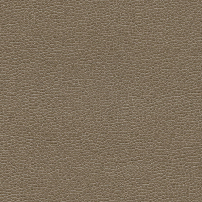 NICHOLASJOHN INC NJ-PROVE Taupe Solid,Texture   Fabric - NJ25-2717