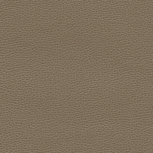 NICHOLASJOHN INC NJ-PROVE Taupe Solid,Texture   Fabric - NJ25-2717