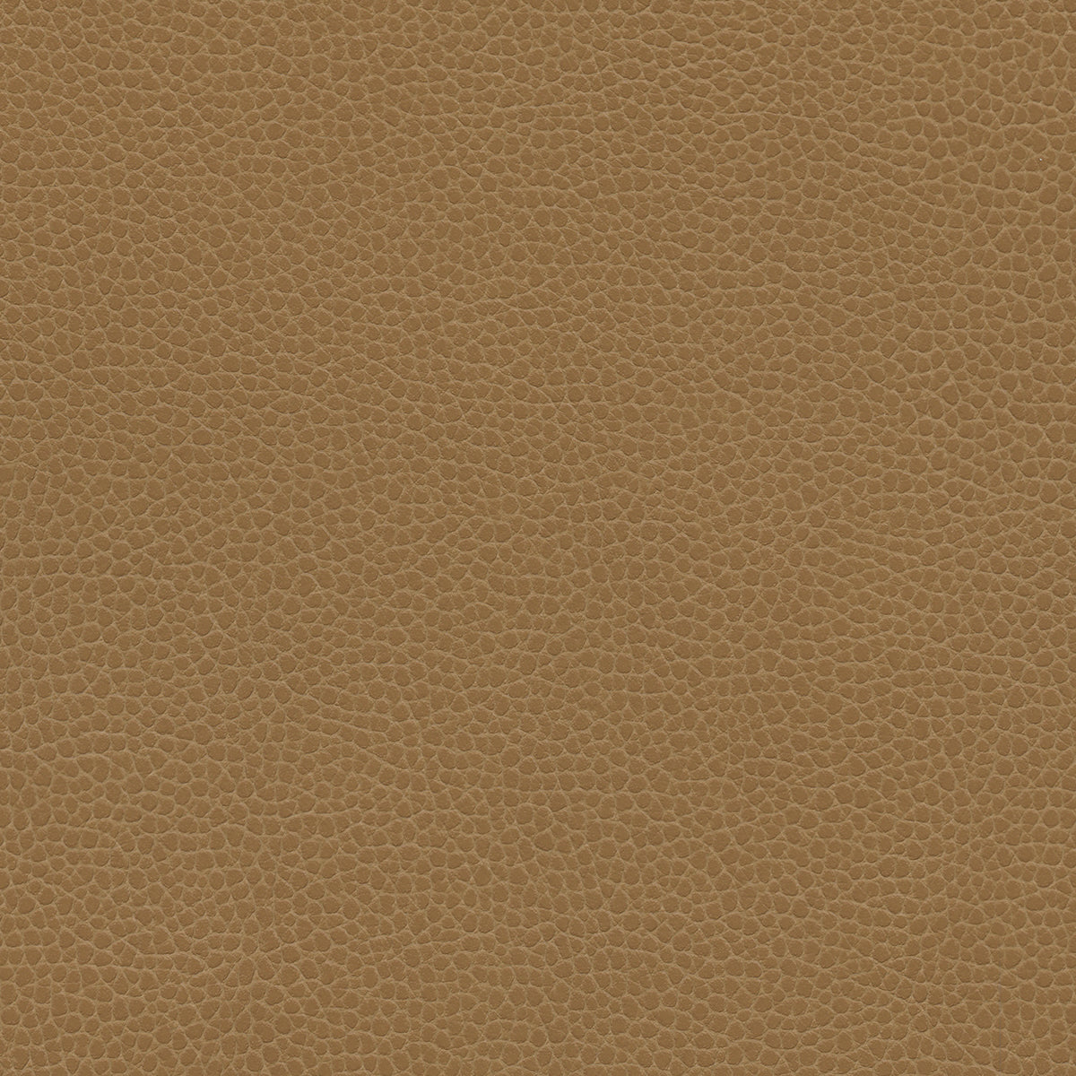 NICHOLASJOHN INC NJ-PROVE Brown Solid,Texture   Fabric - NJ25-2718