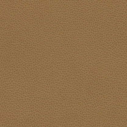 NICHOLASJOHN INC NJ-PROVE Brown Solid,Texture   Fabric - NJ25-2718
