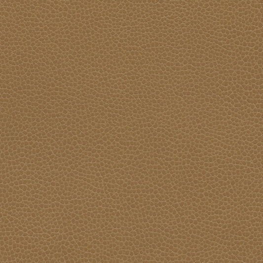 NICHOLASJOHN INC NJ-PROVE Brown Solid,Texture   Fabric - NJ25-2718