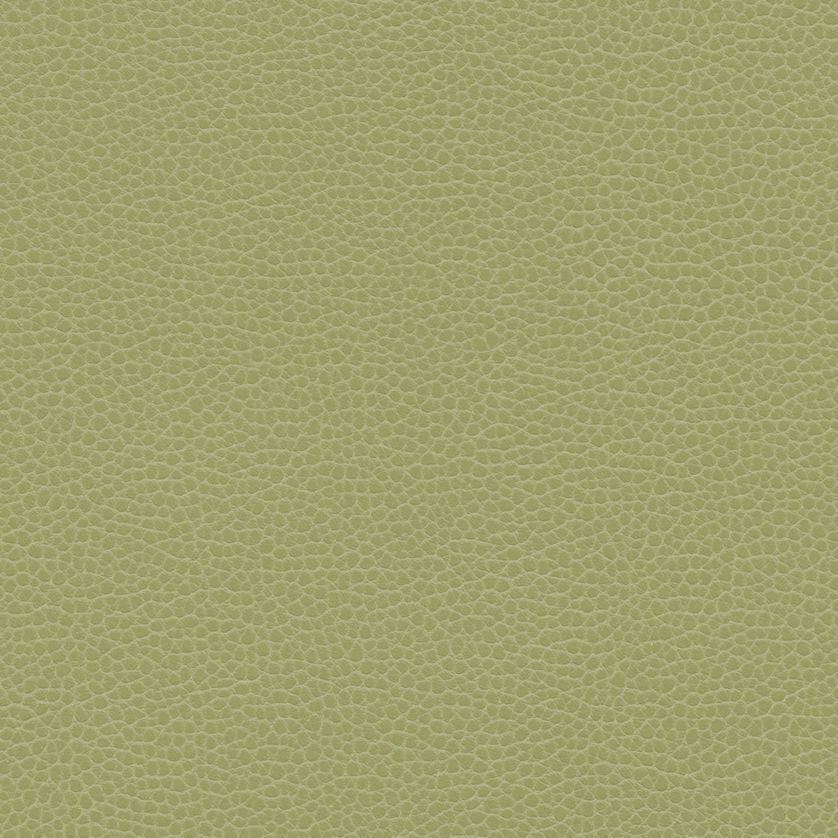 NICHOLASJOHN INC NJ-PROVE Green Solid,Texture   Fabric - NJ25-2719