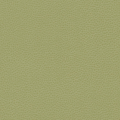 NICHOLASJOHN INC NJ-PROVE Green Solid,Texture   Fabric - NJ25-2719
