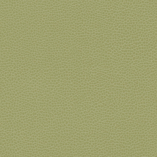 NICHOLASJOHN INC NJ-PROVE Green Solid,Texture   Fabric - NJ25-2719