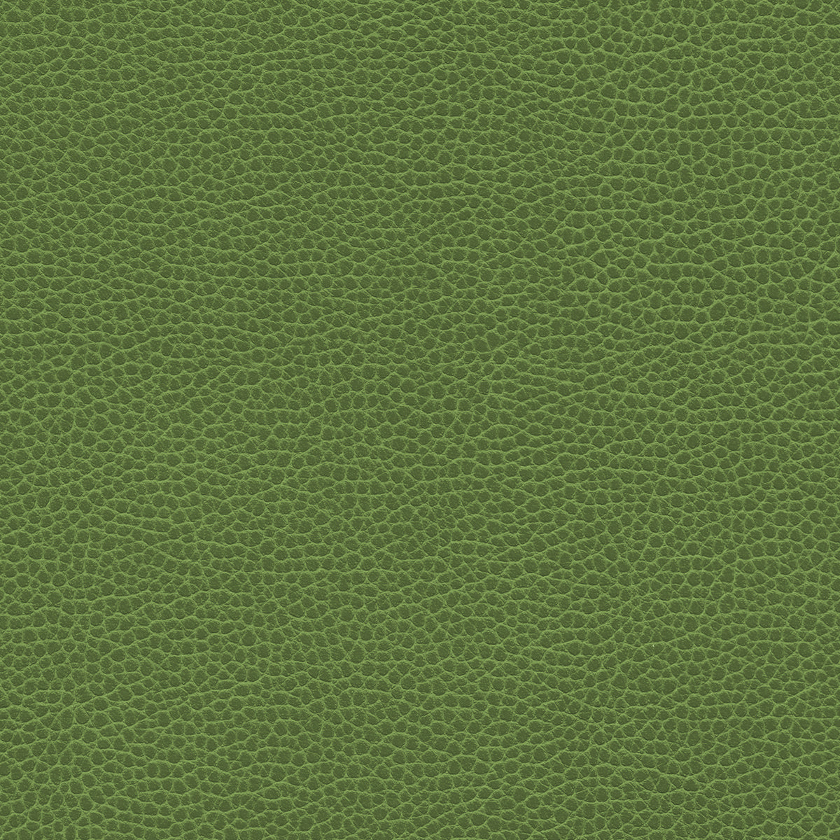NICHOLASJOHN INC NJ-PROVE Green Solid,Texture   Fabric - NJ25-2720