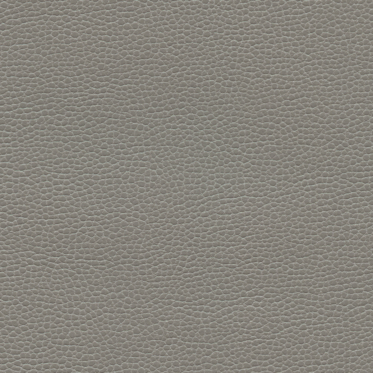 NICHOLASJOHN INC NJ-PROVE Gray Solid,Texture   Fabric - NJ25-2721