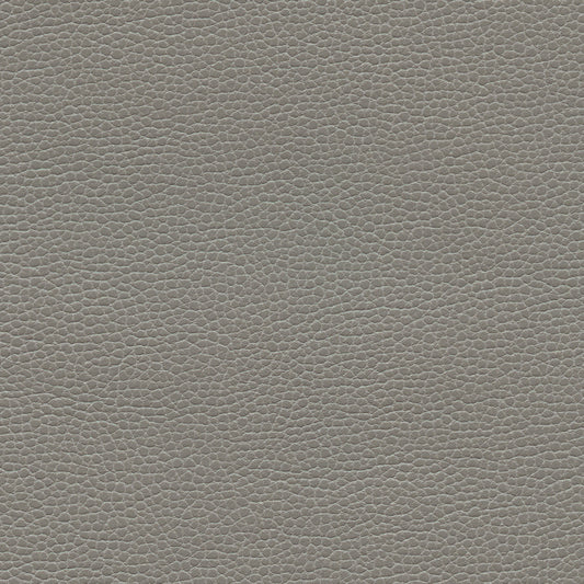 NICHOLASJOHN INC NJ-PROVE Gray Solid,Texture   Fabric - NJ25-2721