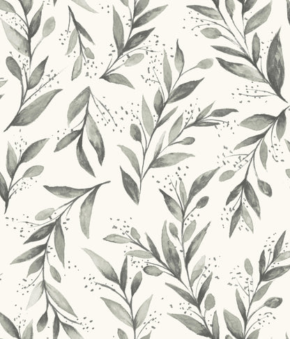 York Wallcoverings York Premium Peel + Stick Magnolia Magnolia Home Olive Branch Charcoal Peel and Stick Wallpaper  Botanical Greys  Wallpaper - PSW1003RL