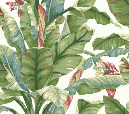 York Wallcoverings York Premium Peel + Stick Banana Leaf White and Green Peel and Stick Wallpaper  Botanical Whites and Off-Whites  Wallpaper - PSW1034RL