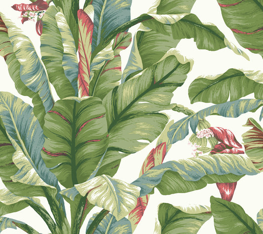 York Wallcoverings York Premium Peel + Stick Banana Leaf White and Green Peel and Stick Wallpaper  Botanical Whites and Off-Whites  Wallpaper - PSW1034RL