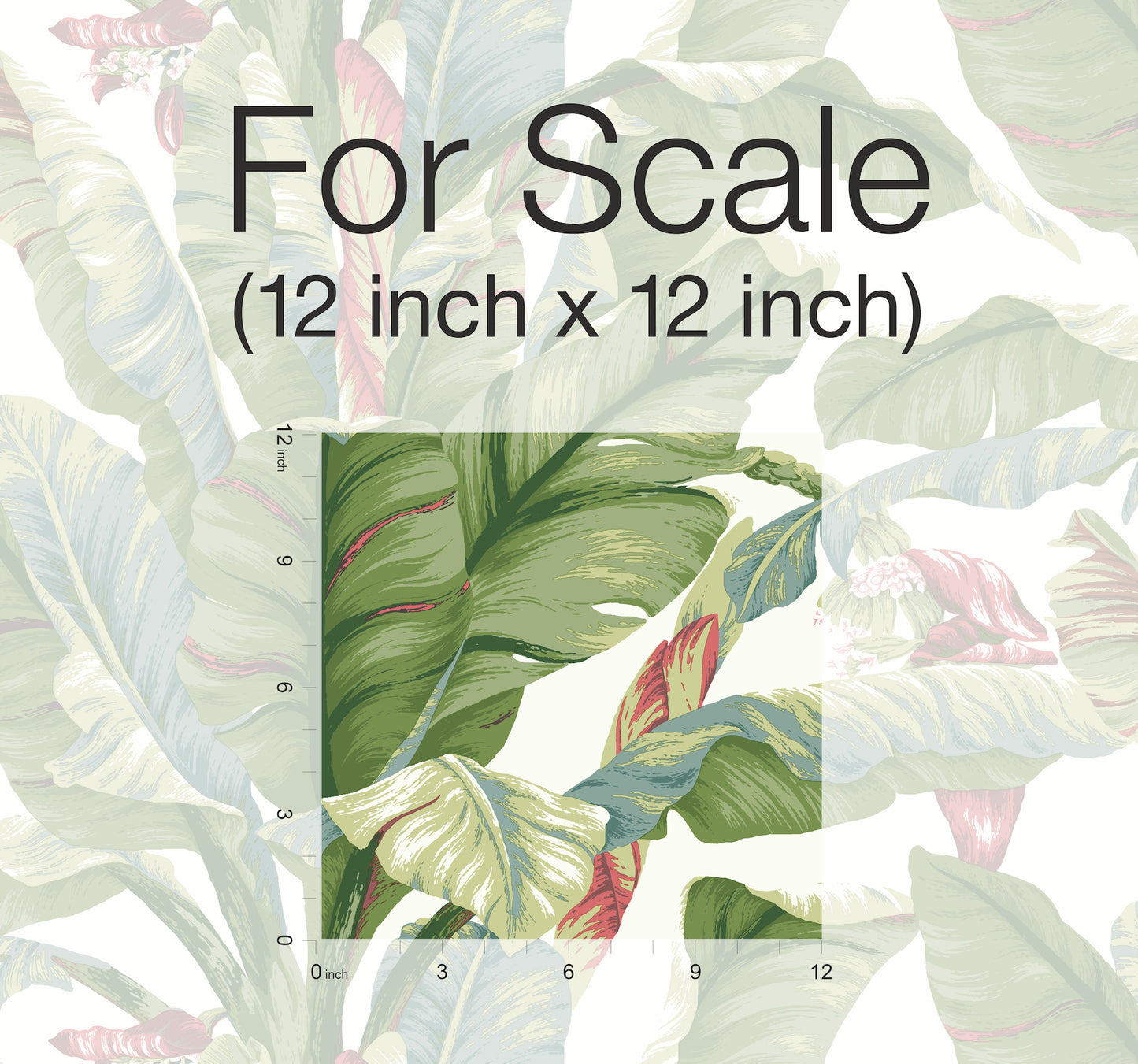 York Wallcoverings York Premium Peel + Stick Banana Leaf White and Green Peel and Stick Wallpaper  Botanical Whites and Off-Whites  Wallpaper - PSW1034RL