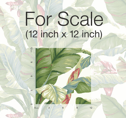 York Wallcoverings York Premium Peel + Stick Banana Leaf White and Green Peel and Stick Wallpaper  Botanical Whites and Off-Whites  Wallpaper - PSW1034RL