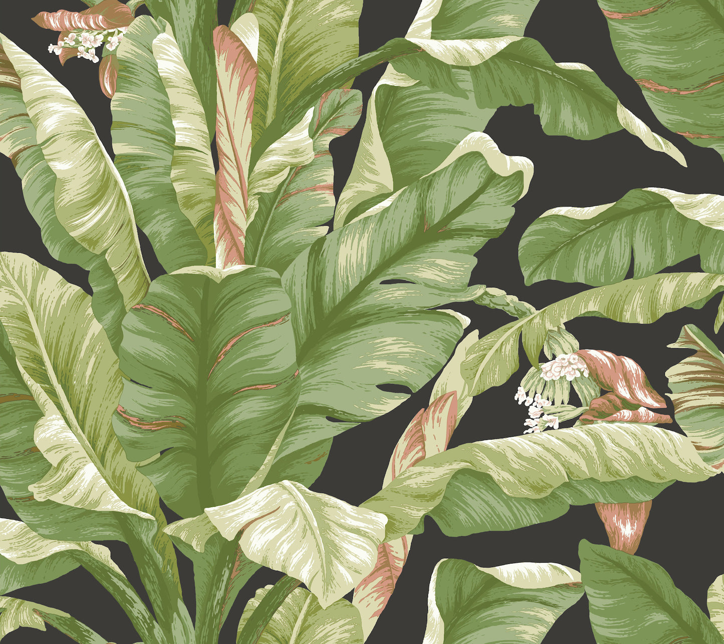 York Wallcoverings York Premium Peel + Stick Banana Leaf Black and Green Peel and Stick Wallpaper  Botanical Greens  Wallpaper - PSW1035RL