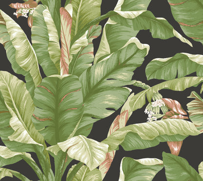 York Wallcoverings York Premium Peel + Stick Banana Leaf Black and Green Peel and Stick Wallpaper  Botanical Greens  Wallpaper - PSW1035RL