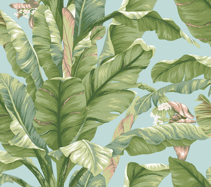 York Wallcoverings York Premium Peel + Stick Banana Leaf Blue and Green Peel and Stick Wallpaper  Botanical Blues  Wallpaper - PSW1036RL
